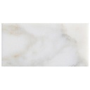 Calcatta D'Oro Marble