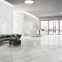 Statuario Venato Porcelain